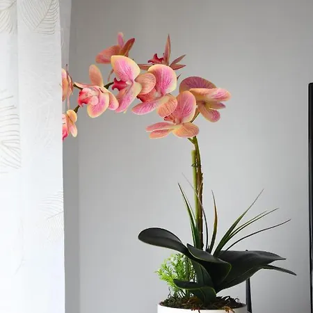 Apartamento Click - *