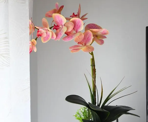 Apartamento Click - *